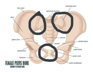 Pubic Bone Pain During Pregnancy. Causes, Implications & Solutions. -  Jacobs Chiropractic Acupuncture